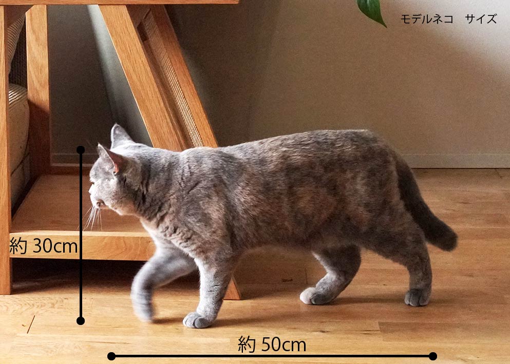 SOU - ソウ -