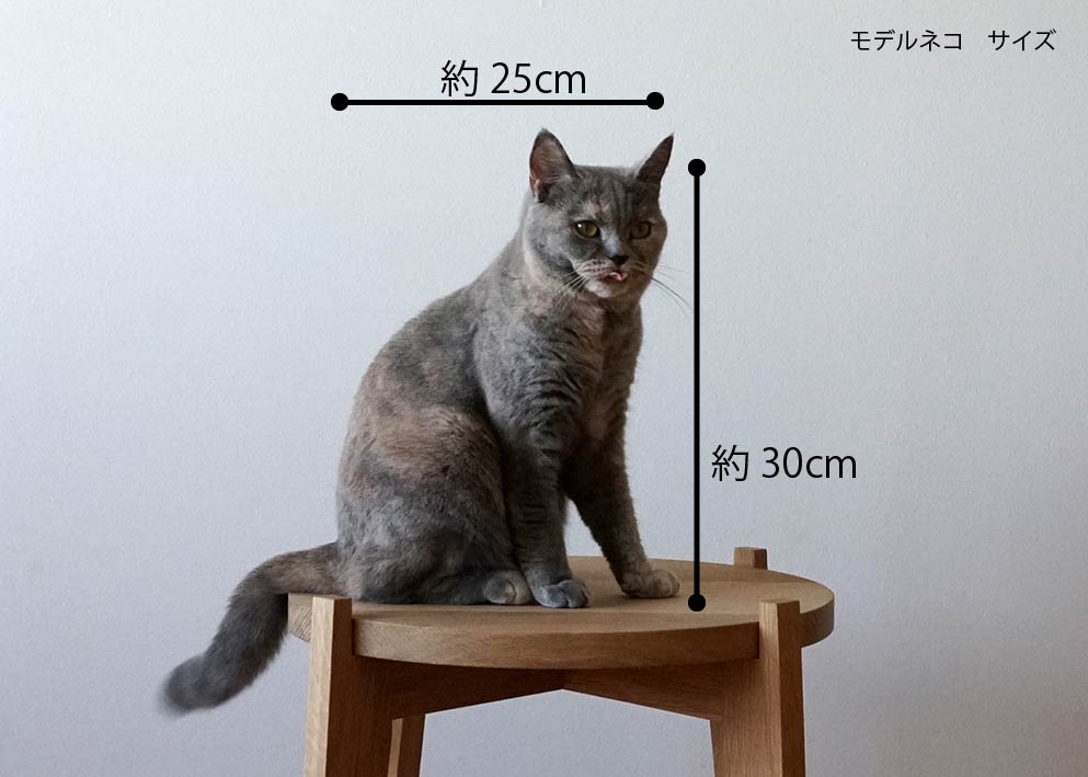 SOU - ソウ -