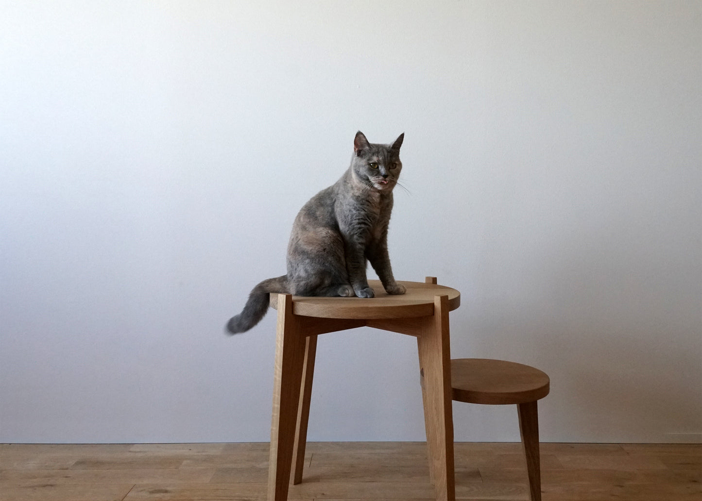 LUNA - ルナ -