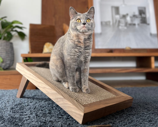 QUATRE　- キャトル -