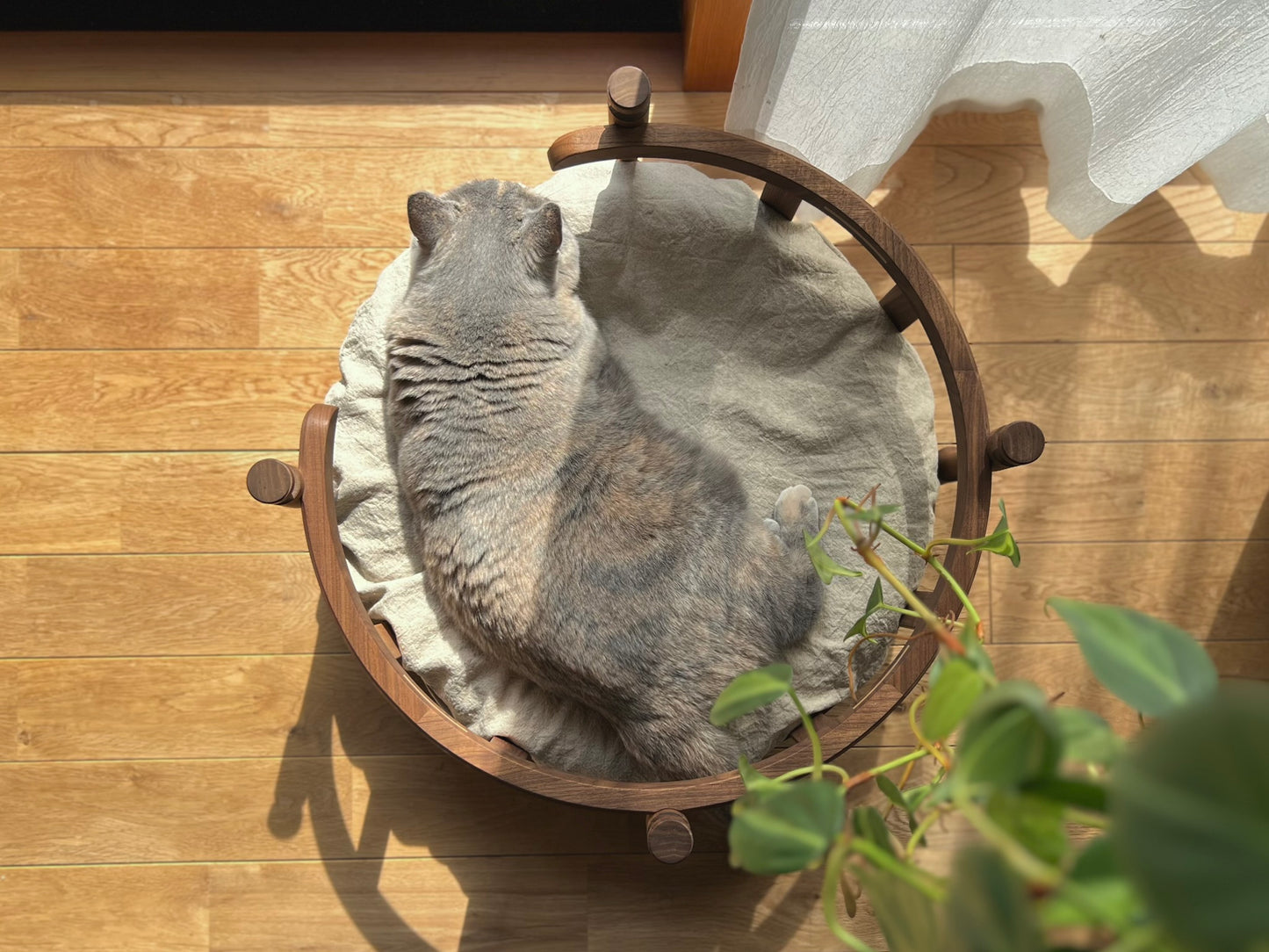 NEST　for calm　- ネスト
